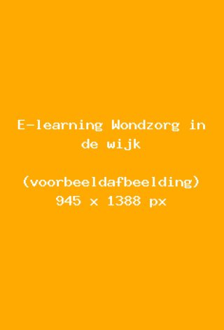 e-learning-wondzorg-in-de-wijk-voorbeeld-e4bec3e2.jpg
