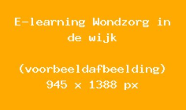 e-learning-wondzorg-in-de-wijk-voorbeeld-e4bec3e2.jpg