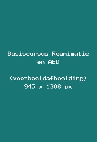 basiscursus-reanimatie-en-aed-voorbeeld-2585a982.jpg